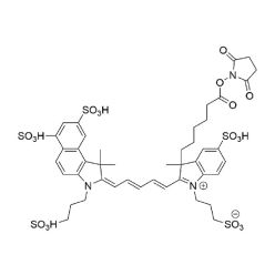 Vector Labs FP-1821-5 AZDye 660 NHS Ester - 5 mg (1/EA)