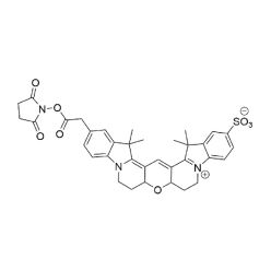 Vector Labs FP-1831-5 Cy3B NHS Ester - 5 mg (1/EA)