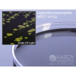 Hardy Diagnostic G07 Dry Culture Media, BCYE Agar Plate,  120 Day Shelf Life (Pack of 10)