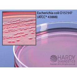 Hardy Diagnostic G129 Dry Culture Media, CT-SMAC for E. coli 0157 Plate,  60 Day Shelf Life (Pack of 10)
