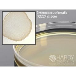 Hardy Diagnostic G14 Dry Culture Media, BHI Agar w/ Vancomycin Plate,  60 Day Shelf Life (Pack of 10)