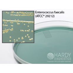 Hardy Diagnostic G223 Dry Culture Media, CLED Agar Plate,  90 Day Shelf Life (Pack of 10)