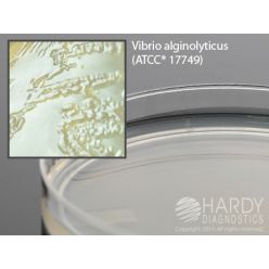Hardy Diagnostic G226 Dry Culture Media, Marine Agar Plate,  90 Day Shelf Life (Pack of 10)