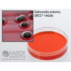 Hardy Diagnostic G277 Dry Culture Media, XLT4 Agar Plate,  60 Day Shelf Life (Pack of 10)
