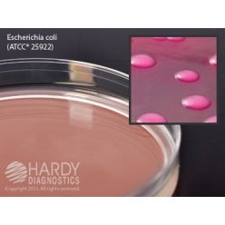 Hardy Diagnostic G35 Dry Culture Media, MacConkey Agar Plate,  90 Day Shelf Life (Pack of 10)