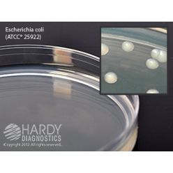Hardy Diagnostic G43 Dry Culture Media, Standard Methods Agar Plate,  120 Day Shelf Life (Pack of 10)