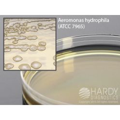 Hardy Diagnostic G79 Dry Culture Media, LB Agar Plate,  90 Day Shelf Life (Pack of 10)