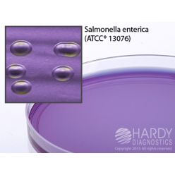 Hardy Diagnostic G86 Dry Culture Media, Modified LIA Agar Plate,  90 Day Shelf Life (Pack of 10)
