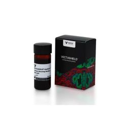 Vector Labs H-1500-10 VECTASHIELD® HardSet™ Antifade Mounting Medium with DAPI, 10 ml (1/EA)