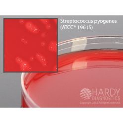 Hardy Diagnostic H28 Dry Culture Media,  Blood Agar 5% Plate,  90 Day Shelf Life (Pack of 10)