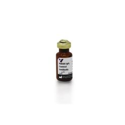 Vector Labs I-1000-5 Rabbit IgG, Control Antibody, 5 mg (1/EA)