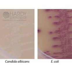 Hardy Diagnostic J100 Dry Culture Media, HUrBi Plate,  60 Day Shelf Life (Pack of 10)