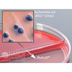Hardy Diagnostic J116 Dry Culture Media, CNA/BluEcoli Biplate,  80 Day Shelf Life (Pack of 10)