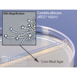Hardy Diagnostic J48 Dry Culture Media, Corn Meal Agar w/ Tween een 80 Biplate, 90 Day Shelf Life (Pack of 10)