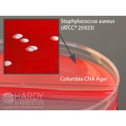 Hardy Diagnostic J62 Dry Culture Media, CNA/MacConkey Agar Biplate,  80 Day Shelf Life (Pack of 10)