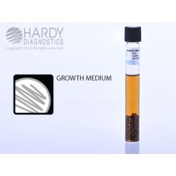 Hardy Diagnostic K19 Liquid Culture Media, Cooked Meat w/ Iron Tube,  365 Day Shelf Life (Pack of 20)