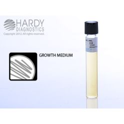 Hardy Diagnostic K88 Liquid Culture Media, TSB Tube,  9 mL, 365 Day Shelf Life (Pack of 20)