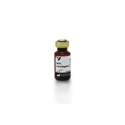 Vector Labs L-1020-10 Wheat Germ Agglutinin (WGA), Unconjugated, 10 mg (1/EA)