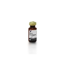 Vector Labs L-1120-5 Phaseolus Vulgaris Erythroagglutinin (PHA-E), Unconjugated, 5 mg (1/EA)