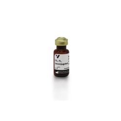 Vector Labs L-1160-5 Solanum Tuberosum (Potato) Lectin (STL, PL), Unconjugated, 5 mg (1/EA)