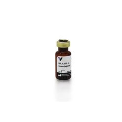 Vector Labs L-1210-5 Griffonia (Bandeiraea) Simplicifolia Lectin II (GSL II, BSL II), Unconjugated, 5 mg (1/EA)