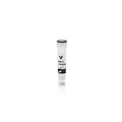 Vector Labs L-1260-2 Maackia Amurensis Lectin II (MAL II), Unconjugated, 2 mg (1/EA)