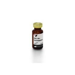 Vector Labs L-1300-5 Sambucus Nigra Lectin (SNA, EBL), Unconjugated, 5 mg (1/EA)
