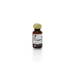 Vector Labs L-1340-5 Maclura Pomifera Lectin (MPL), Unconjugated, 5 mg (1/EA)