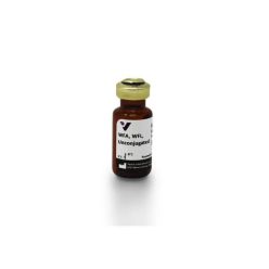 Vector Labs L-1350-5 Wisteria Floribunda Lectin (WFA, WFL), Unconjugated, 5 mg (1/EA)