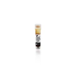 Vector Labs M-1002-010 NanoLINK® Streptavidin Magnetic Beads (1.0 µm), 1 mL (1/EA)
