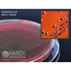 Hardy Diagnostic P09 Dry Culture Media, EMB Contact Plate,  90 Day Shelf Life (Pack of 10)