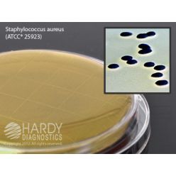 Hardy Diagnostic P16 Dry Culture Media, Baird Parker Agar Contact Plate,  90 Day Shelf Life (Pack of 10)