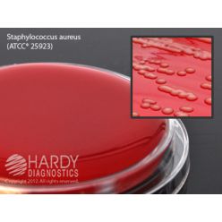 Hardy Diagnostic P33 Dry Culture Media, Blood Agar 5% Contact Plate,  90 Day Shelf Life (Pack of 10)