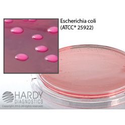 Hardy Diagnostic P47 Dry Culture Media, MacConkey Agar Contact Plate,  90 Day Shelf Life (Pack of 10)