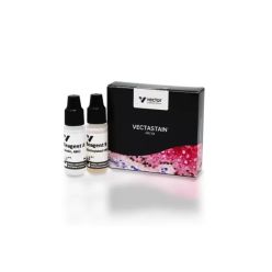 Vector Labs PK-4000 VECTASTAIN® ABC-HRP Kit, Peroxidase (Standard), 1 Kit (1/EA)