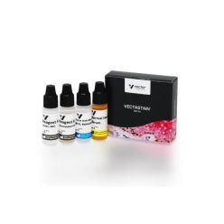 Vector Labs PK-4002 VECTASTAIN® ABC-HRP Kit, Peroxidase (Mouse IgG ), 1 Kit (1/EA)