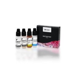 Vector Labs PK-4005 VECTASTAIN® ABC-HRP Kit, Peroxidase (Goat IgG ), 1 Kit (1/EA)