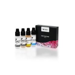 Vector Labs PK-4007 VECTASTAIN® ABC-HRP Kit, Peroxidase (Guinea Pig IgG ), 1 Kit (1/EA)