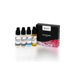 Vector Labs PK-6104 VECTASTAIN® Elite ABC-HRP Kit, Peroxidase (Rat IgG), 1 Kit (1/EA)