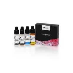 Vector Labs PK-6105 VECTASTAIN® Elite ABC-HRP Kit, Peroxidase (Goat IgG), 1 Kit (1/EA)