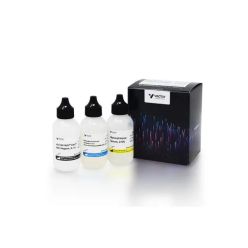Vector Labs PK-7200 VECTASTAIN® Elite ABC-HRP Kit, Peroxidase, R.T.U. (Universal) (Horse Anti-Mouse/Rabbit IgG), 1 Kit (1/EA)