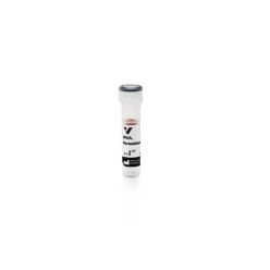 Vector Labs PL-1026-2 Wheat Germ Agglutinin (WGA), Peroxidase, 2 mg (1/EA)