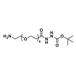 Vector Labs QBD-10041-100 Amino-dPEG®₄-t-boc-hydrazide - 100 mg (1/EA)