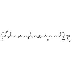 Vector Labs QBD-10194-50 NHS-S-S-dPEG®₄-biotin (cleavable) - 50 mg (1/EA)