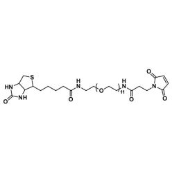 Vector Labs QBD-10195-25 Biotin-dPEG®₁₁-MAL - 25 mg (1/EA)