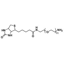 Vector Labs QBD-10196-1000 Biotin-dPEG®₁₁-NH₂ - 1000 mg (1/EA)