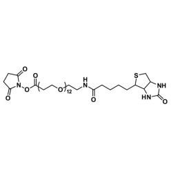 Vector Labs QBD-10198-50 NHS-dPEG®₁₂-biotin - 50 mg (1/EA)