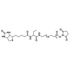 Vector Labs QBD-10202-1000 NHS-dPEG®₄-biotinidase resistant biotin - 1000 mg (1/EA)