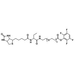Vector Labs QBD-10203-1000 TFP-dPEG®₄-biotinidase resistant biotin - 1000 mg (1/EA)