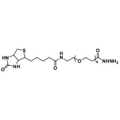 Vector Labs QBD-10219-1000 Biotin-dPEG®₄-hydrazide - 1000 mg (1/EA)